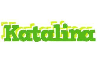 Katalina picnic logo