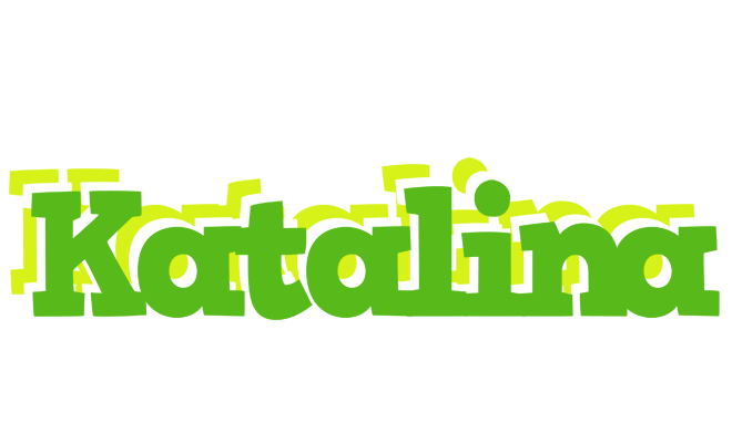 Katalina picnic logo