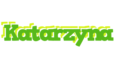 Katarzyna picnic logo