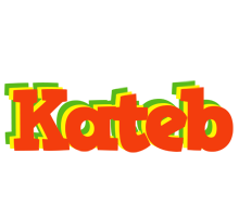 Kateb bbq logo