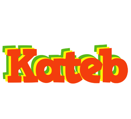 Kateb bbq logo
