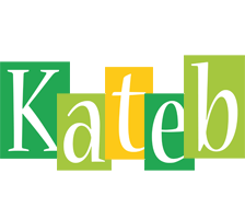 Kateb lemonade logo