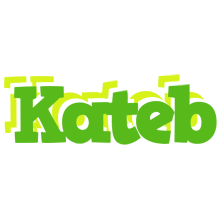 Kateb picnic logo