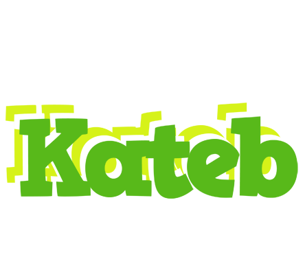 Kateb picnic logo