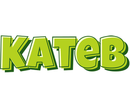 Kateb summer logo