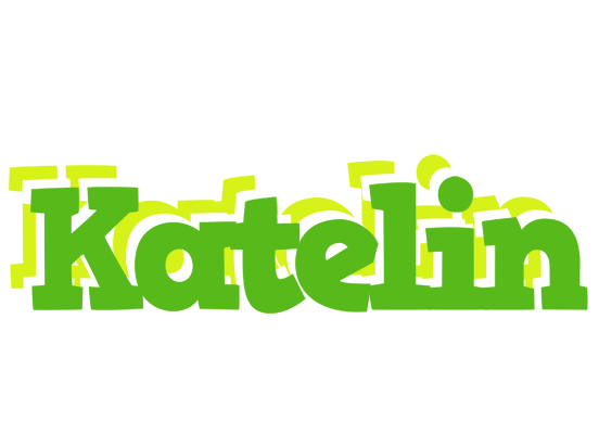 Katelin picnic logo