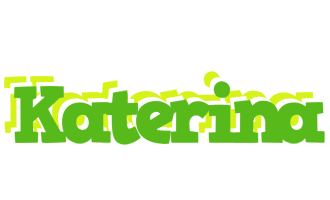 Katerina picnic logo