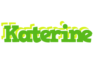 Katerine picnic logo