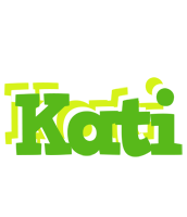 Kati picnic logo