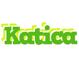 Katica picnic logo