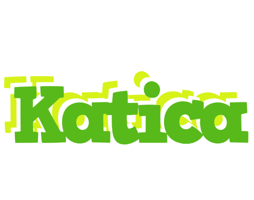 Katica picnic logo