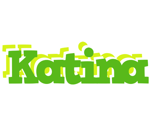 Katina picnic logo