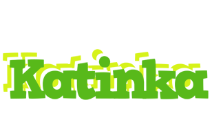 Katinka picnic logo