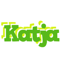 Katja picnic logo
