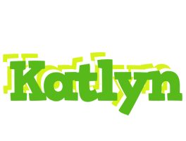 Katlyn picnic logo