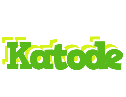 Katode picnic logo