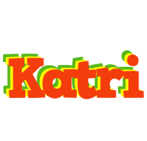 Katri bbq logo