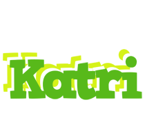 Katri picnic logo