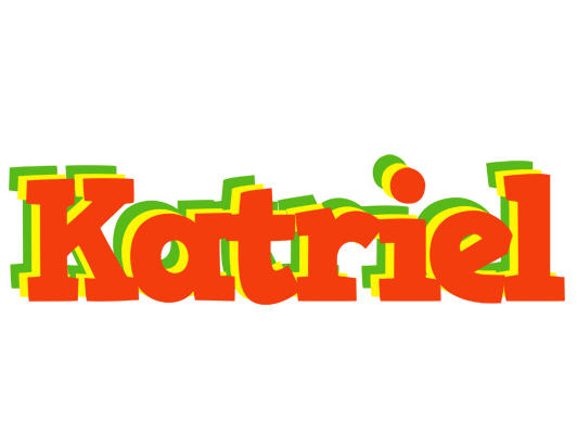 Katriel bbq logo