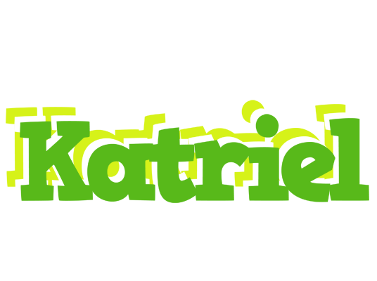 Katriel picnic logo