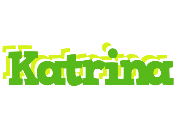 Katrina picnic logo