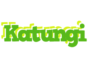 Katungi picnic logo