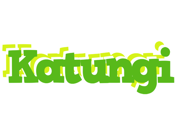 Katungi picnic logo