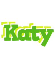 Katy picnic logo