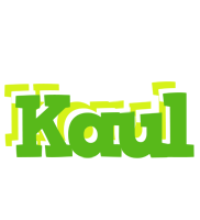 Kaul picnic logo