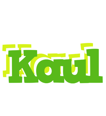 Kaul picnic logo