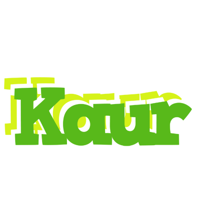 Kaur picnic logo