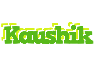 Kaushik picnic logo