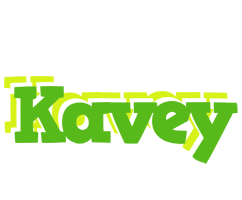 Kavey picnic logo