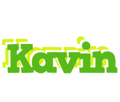 Kavin picnic logo