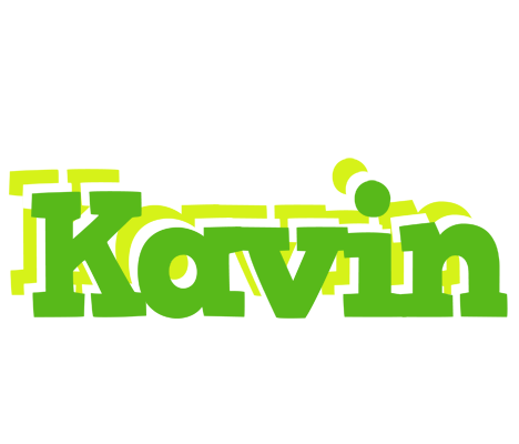 Kavin picnic logo
