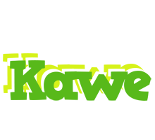 Kawe picnic logo