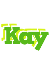 Kay picnic logo