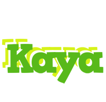 Kaya picnic logo