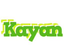 Kayan picnic logo