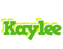 Kaylee picnic logo