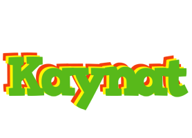 Kaynat crocodile logo