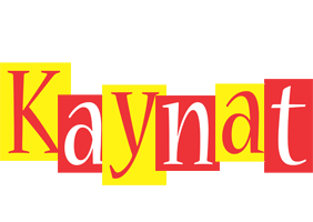 Kaynat errors logo