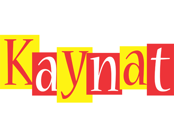 Kaynat errors logo
