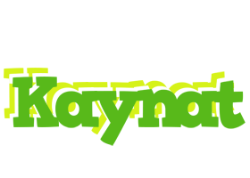 Kaynat picnic logo