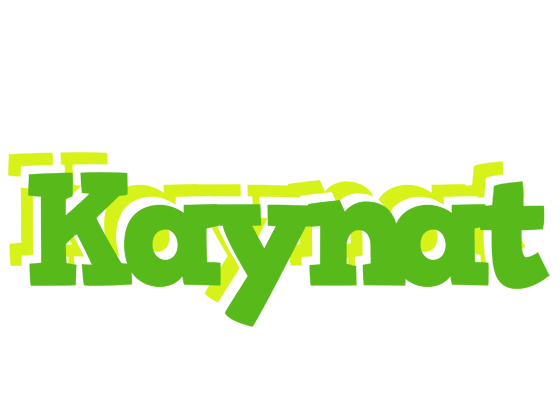 Kaynat picnic logo