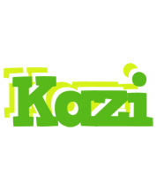 Kazi picnic logo