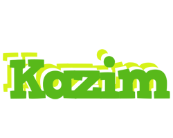 Kazim picnic logo