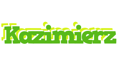 Kazimierz picnic logo