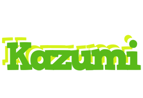 Kazumi picnic logo