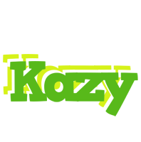 Kazy picnic logo